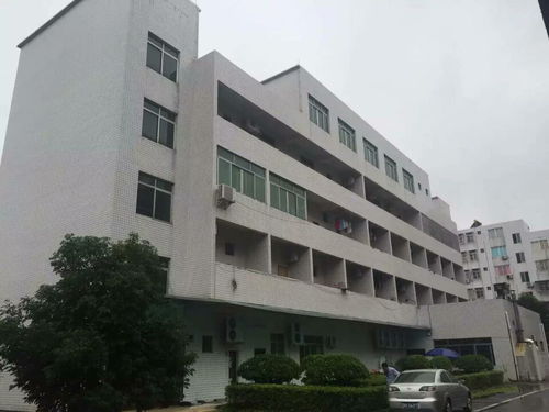 供應(yīng)漳州市廠(chǎng)房結(jié)構(gòu)安全檢測(cè)鑒定單位咨詢(xún)電話(huà) 新聞?lì)^條
